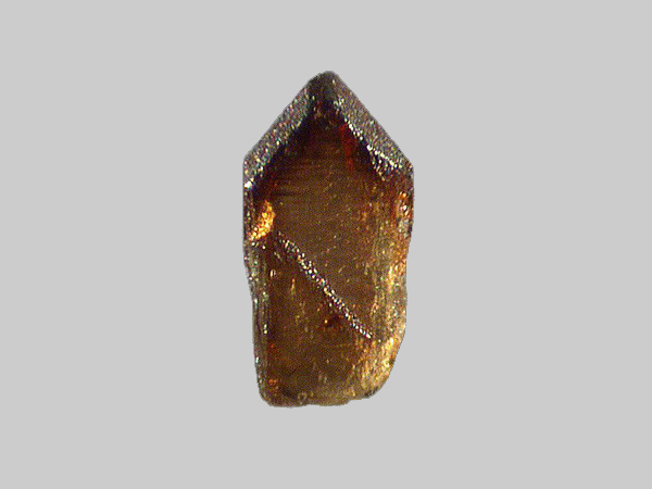Enstatite-Ferrosilite (Série) - La Loire - Gien - Loiret - FP - Taille 0,7mm.jpg