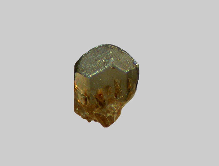 Enstatite-Ferrosilite (Série) - Le Sioulot - Olby - Puy-de-Dôme - FP - Taille 0,4mm.jpg