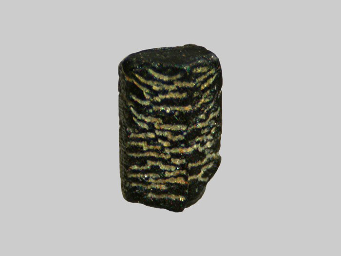 Hornblende déstabilisée - Le Sioulot - Olby - Puy-de-Dôme - FP - Taille 1,5mm.jpg