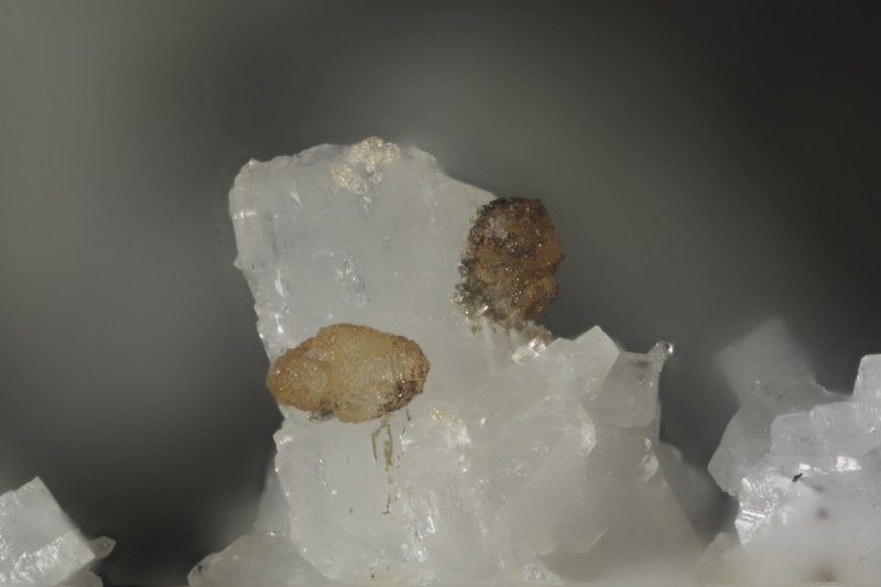 197043-calcite sur albite-GB-chp 2,4mm.jpg