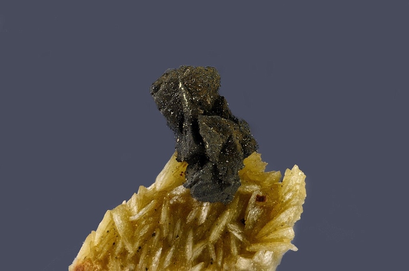 N°344 Chalcopyrite-Siderite Peyrebrune Rivet Carrière Montredon-Labessonnié Tarn France - Champ 15mm.JPG