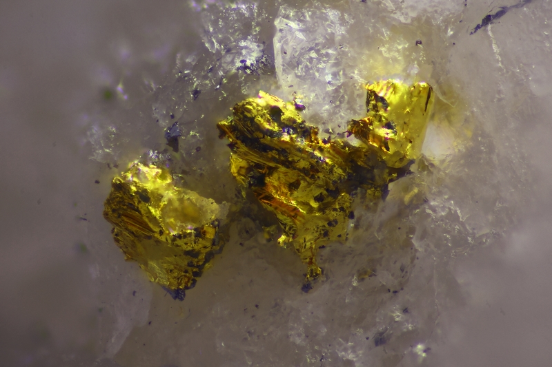 187056 Or Mine de Cros Gallet Haute Vienne fov 2.3 mm JPB.jpg