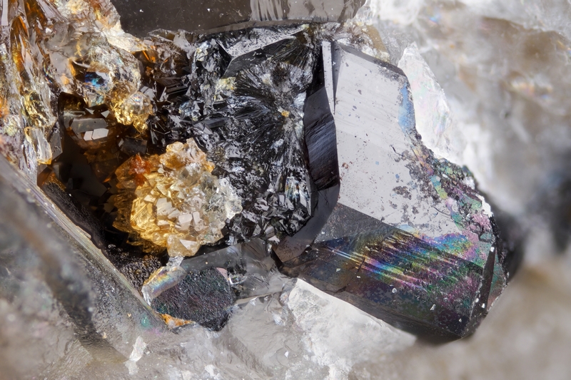 Cassitérite_Mine de Vaulry, Nantiat, Haute-Vienne_2,6mm_ENSMP-AFM 187039_FF.jpg