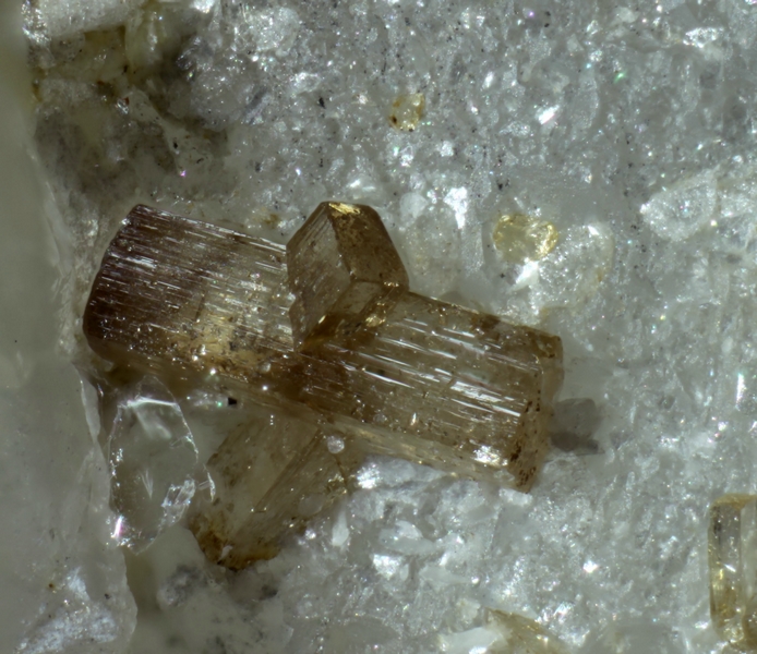 cassiterite 8881 (1) cristal  2,5 mm.jpg