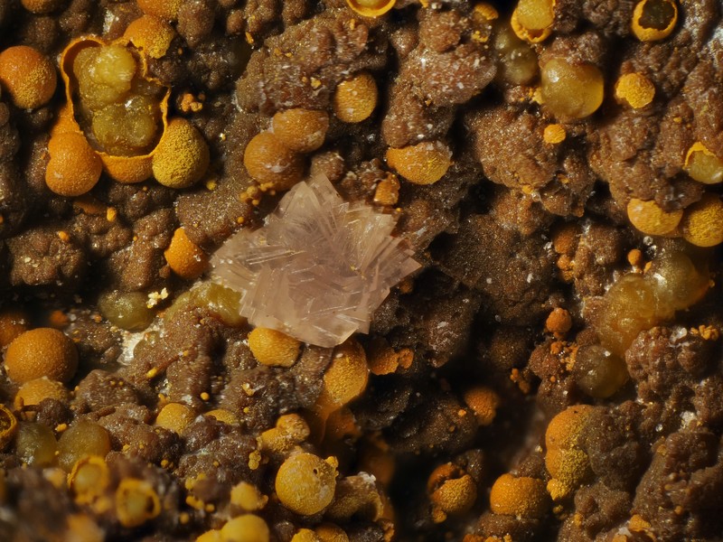 leucophosphite puech de leguo la capelle bleys Aveyron ch2,2mm.jpg