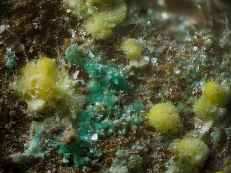 uranophane malachite mas d'Alary lodeve Herault ch2.8mm.jpg