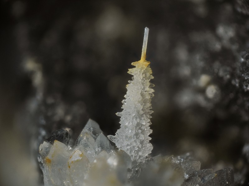 laumontite quartz ravin de gela Aragnouet  htes Pyrenees ch2.7mm.jpg