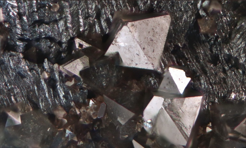 Senarmontite-Bessade Mine-Mercoeur-Haute-Loire-YM-Champ 1 mm.jpg