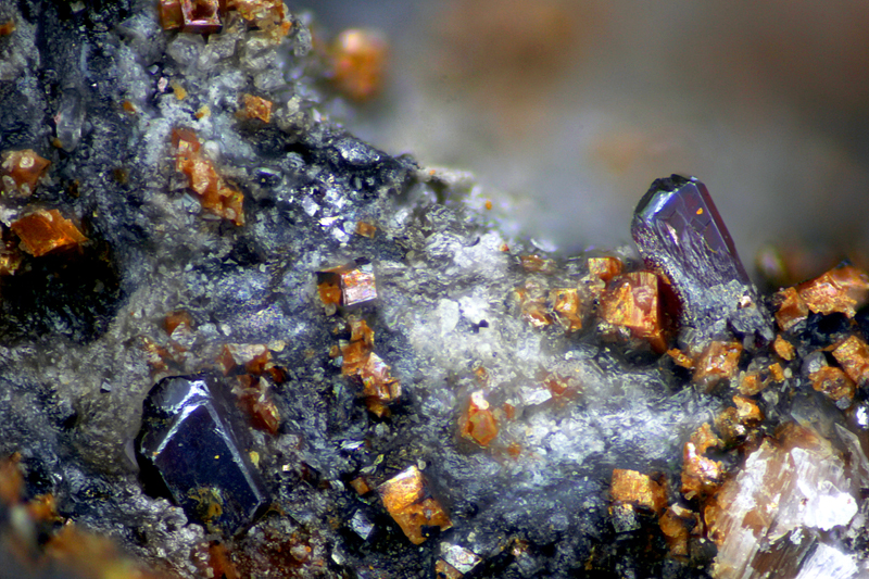 Pyrargyrite -Ankerite - Fournial Mine - Molèdes - Saint-Flour - Cantal - SL - Champ 0,85mm.jpg