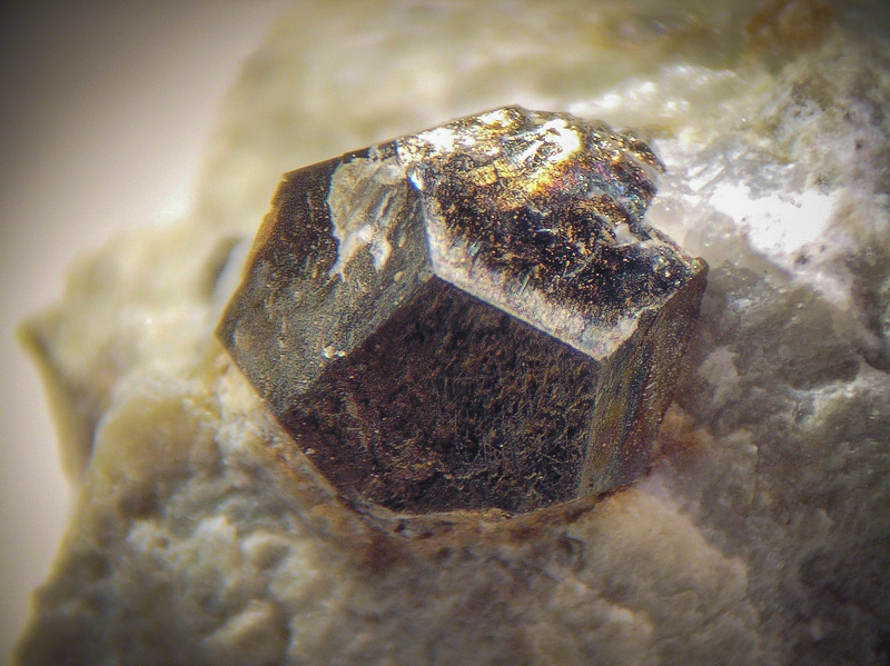 Pyrite Can Pei Montferrer Pyrénées Orientales CB Champ 5 mm.jpg