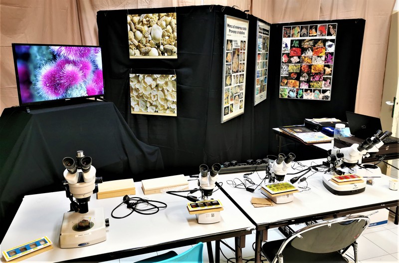 Atelier binoculaire microminéralogie de Cap Garonne et diaporama microminéralogie  de Philippe Remy