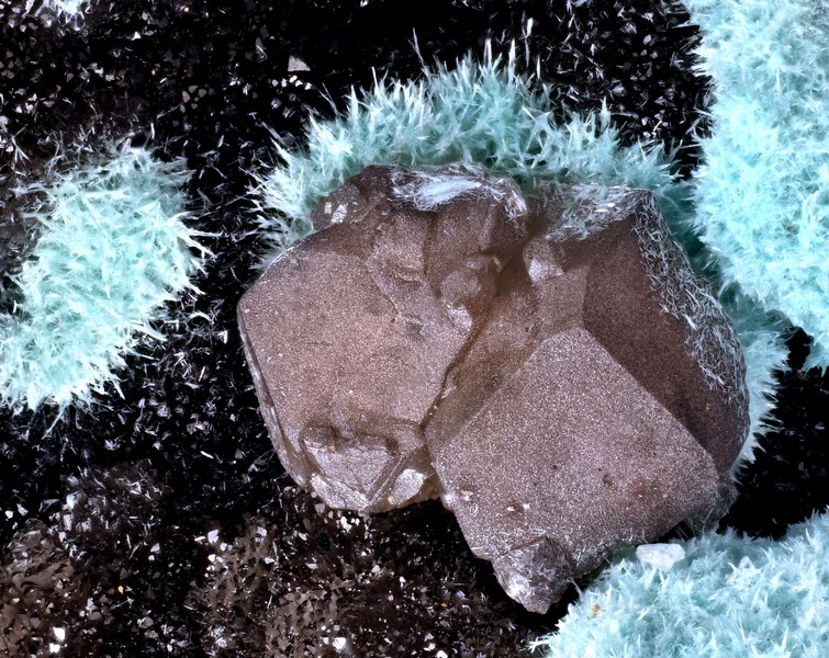 Cerusite aurichalcite hemimorphite champ 3 mm la vidale.jpg