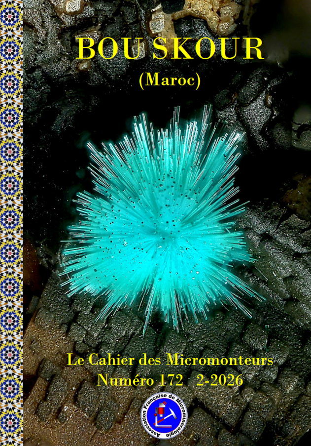 Bou Skour n°172 Bou Skour n°172